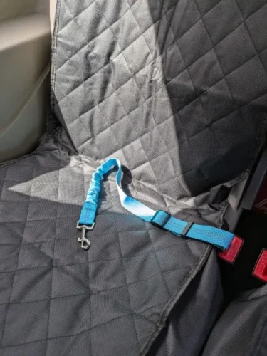 Laisse de sécurité pour chien