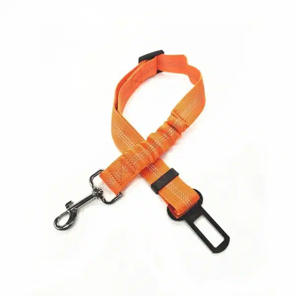 laisse sécurité voiture orange