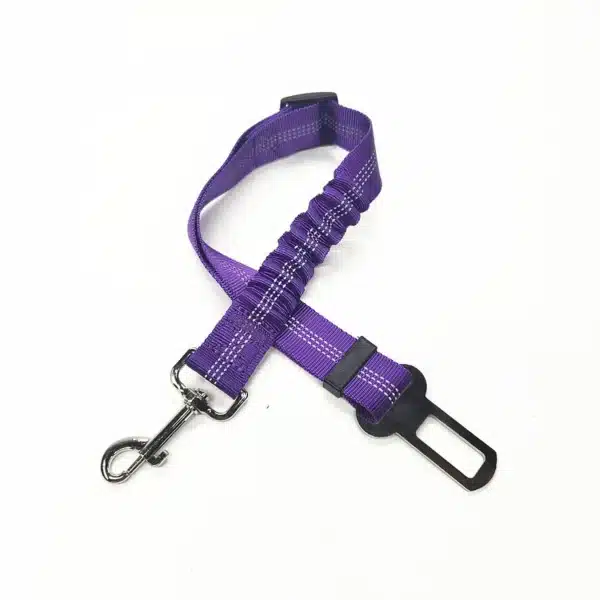 laisse sécurité voiture violet