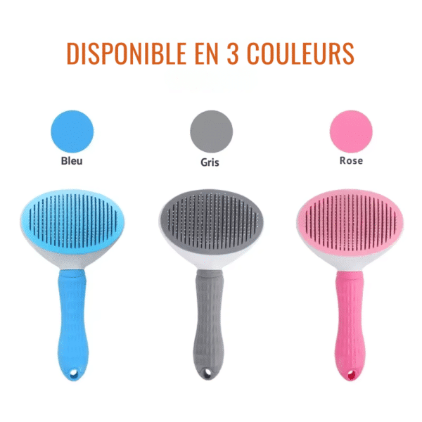 brosse pour chien couleurs