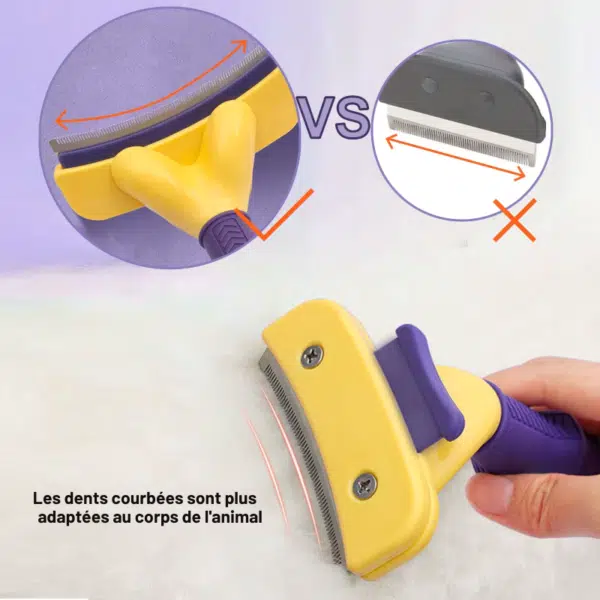 brosse détails