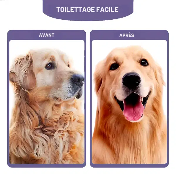 brosse avt apr