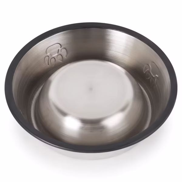 Gamelle pour chien antidérapante