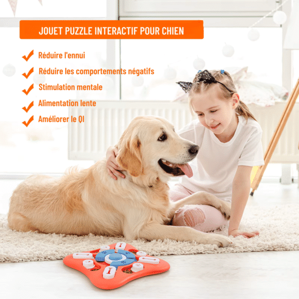 Puzzle sonore pour chien bienfaits