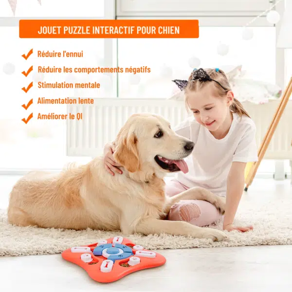 Puzzle sonore pour chien bienfaits