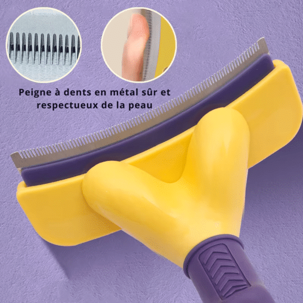 brosse dents