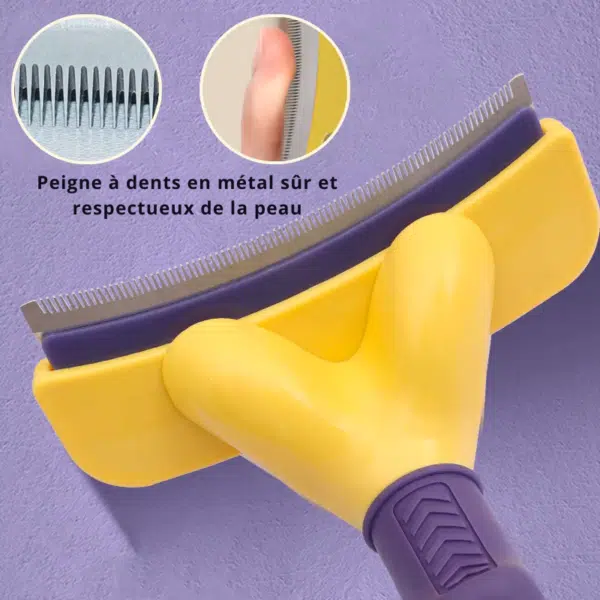 brosse dents