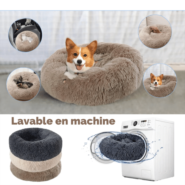 Coussin chien - lavable