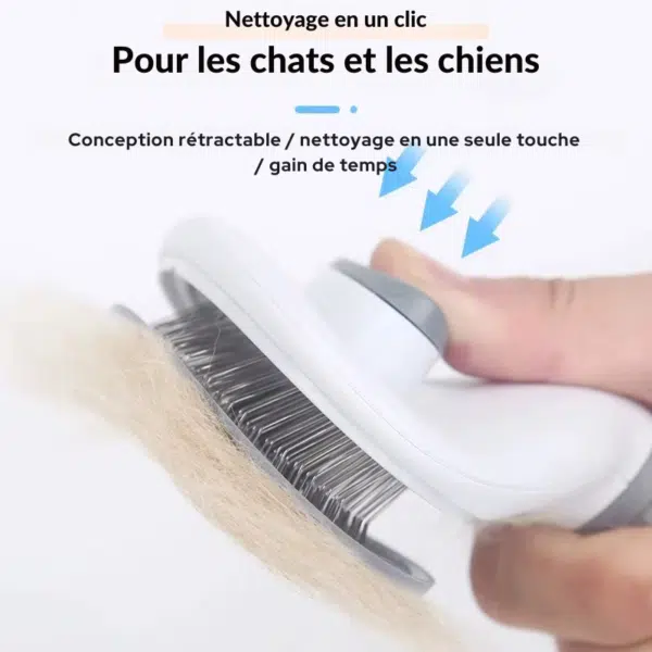 brosse pour chien fonctionnement