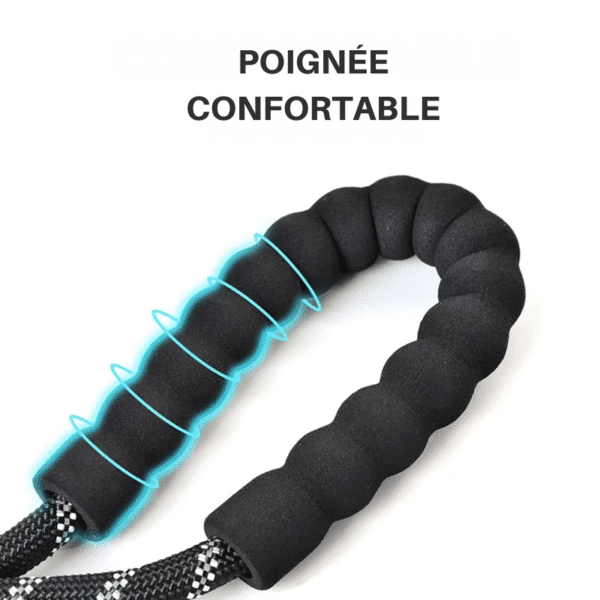 Laisse pour chien Casting – Image 10