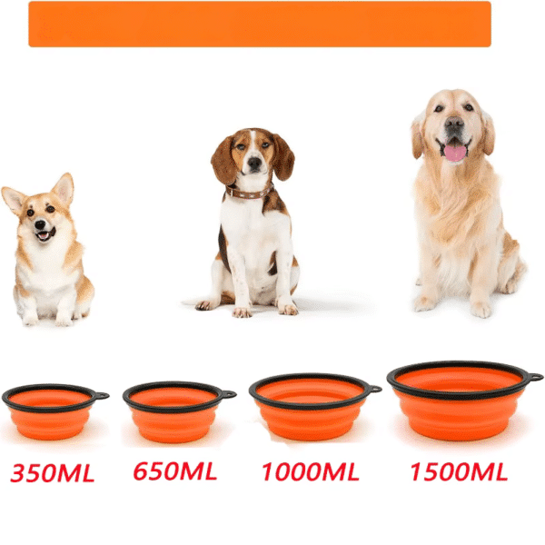 Gamelle portable chien