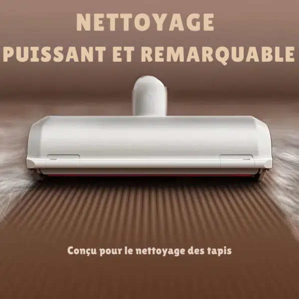rouleau anti-poil nettoyage