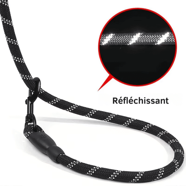 Laisse pour chien Casting – Image 9