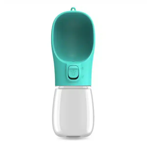 Gourde chien turquoise