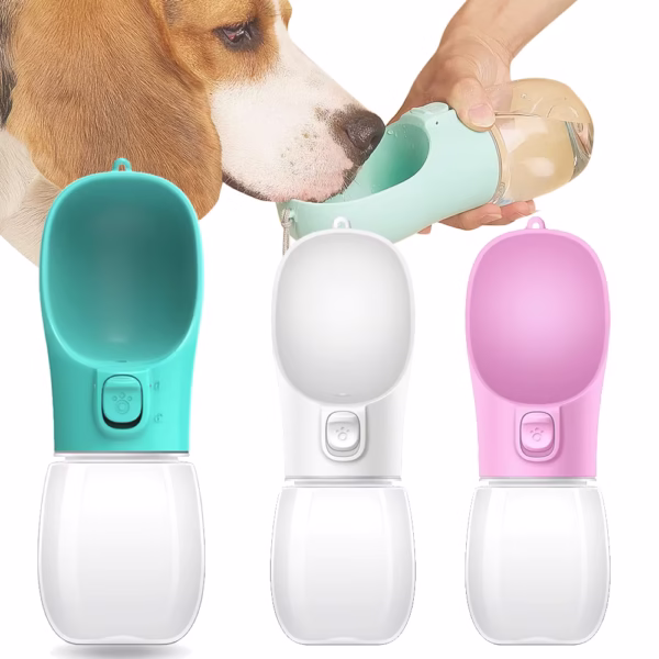 Gourde chien randonnée