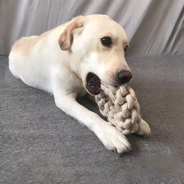 Cordes pour chien - Tissano – Image 10