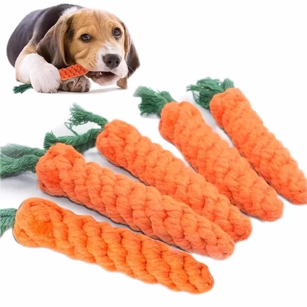 Carotte pour chiot