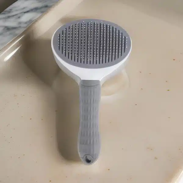 brosse pour chien