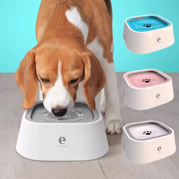 distributeur eau pour chien couleurs
