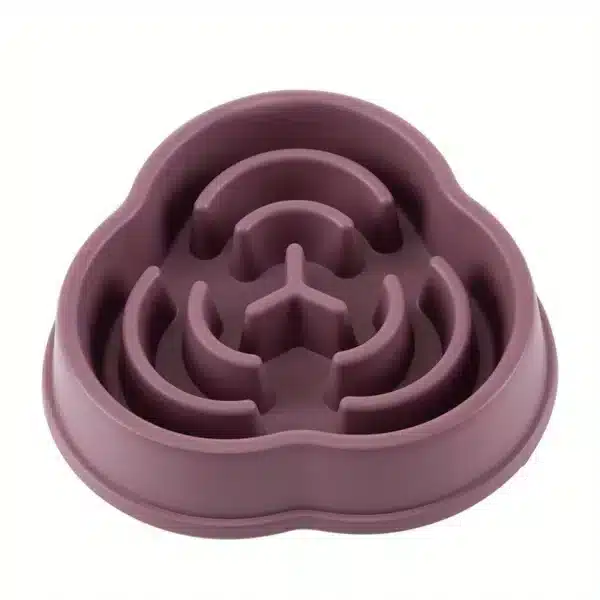gamelle anti-glouton violet