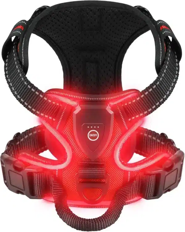 Harnais lumineux rouge
