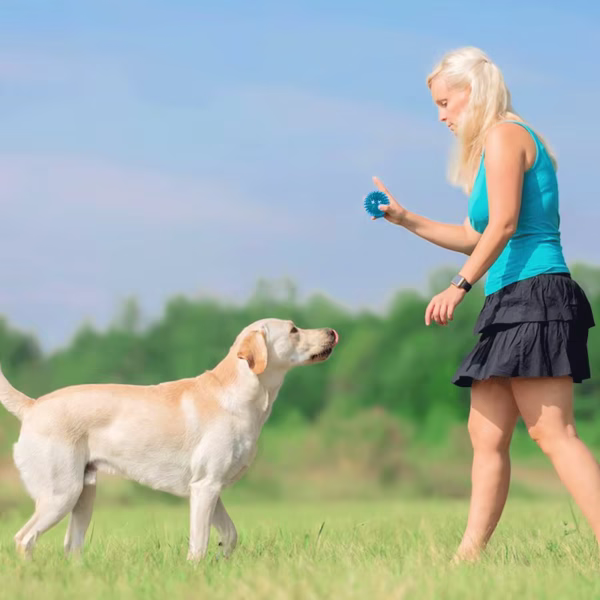 Balle chien caoutchouc - RubBalle – Image 4