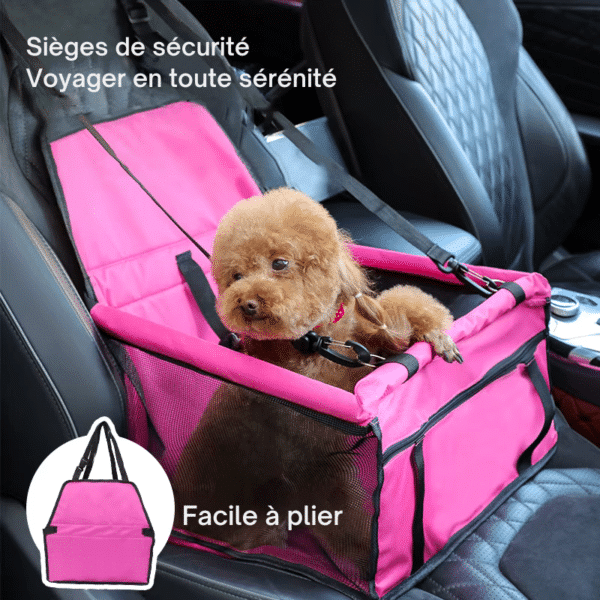 Installation Siège voiture chien