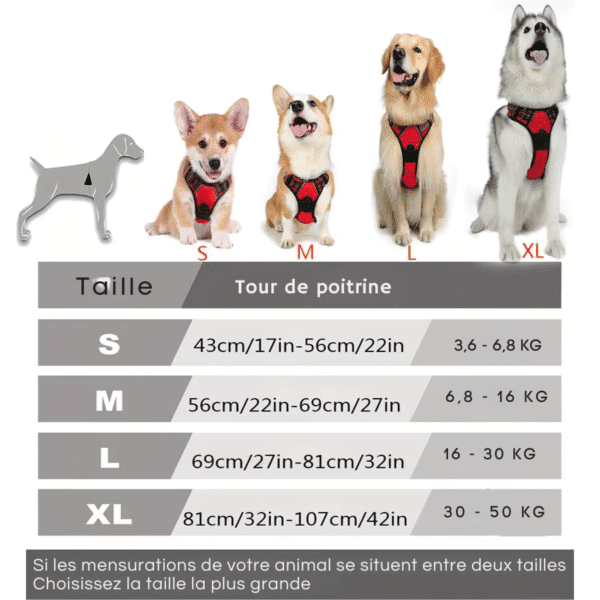 chien harnais anti traction tailles