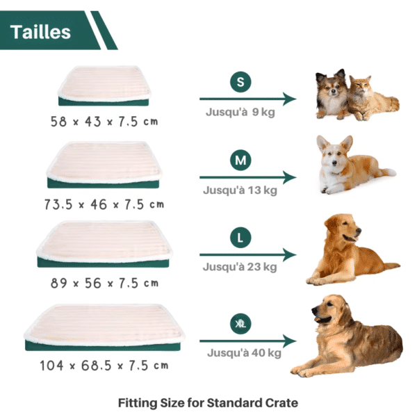 Lit chien Tailles