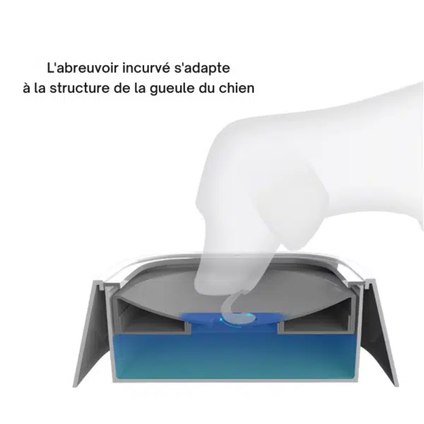 distributeur eau pour chien anti débordement