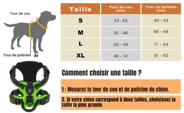 Harnais lumineux taille