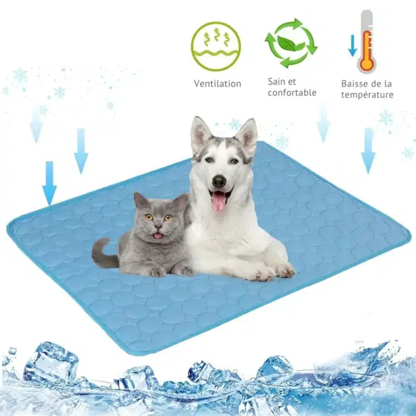 Tapis rafraîchissant chien - icepup