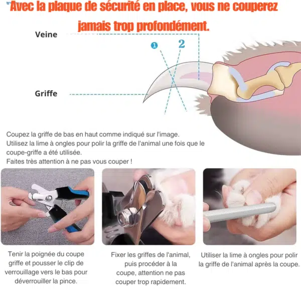 coupe griffe chien fonctonnement