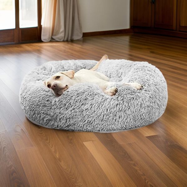 Coussin chien - CaniZen