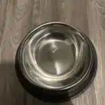 Gamelle pour chien - WoofBowl photo review