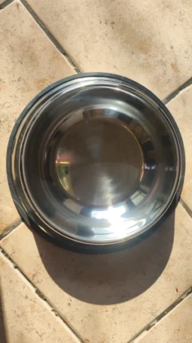 Gamelle pour chien - WoofBowl photo review