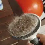 Brosse pour chien - PureBrush photo review