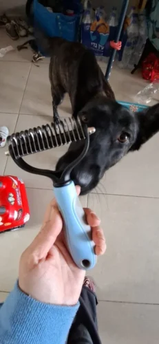 Brosse de toilettage pour chien - FidoGroom photo review
