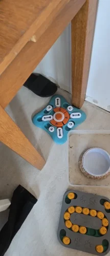 Puzzle sonore pour chien - DogIntel photo review