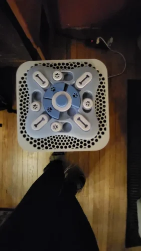 Puzzle sonore pour chien - DogIntel photo review