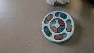 Puzzle interactif pour chien - DogMinds photo review