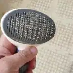 Brosse pour chien - PureBrush photo review