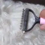 Brosse de toilettage pour chien - FidoGroom photo review