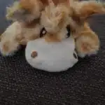 Peluche vide pour chien - PupFillou photo review