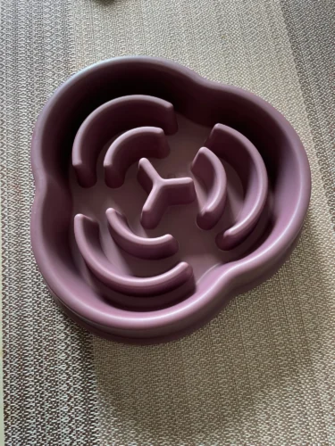 Gamelle anti-glouton - Slowbowl photo review