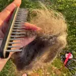 Brosse sous poils chien - CaniSmooth photo review