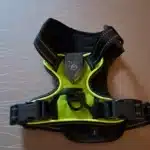 Harnais lumineux pour chien - LumiPaw photo review