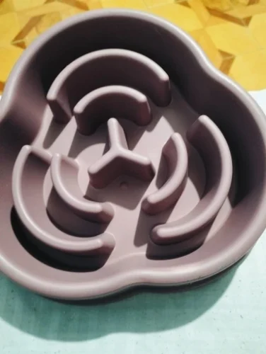 Gamelle anti-glouton - Slowbowl photo review