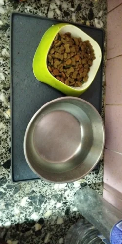 Tapis gamelle pour chien - Canimat photo review