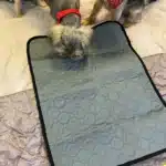 Tapis urine chien - FreshMat photo review